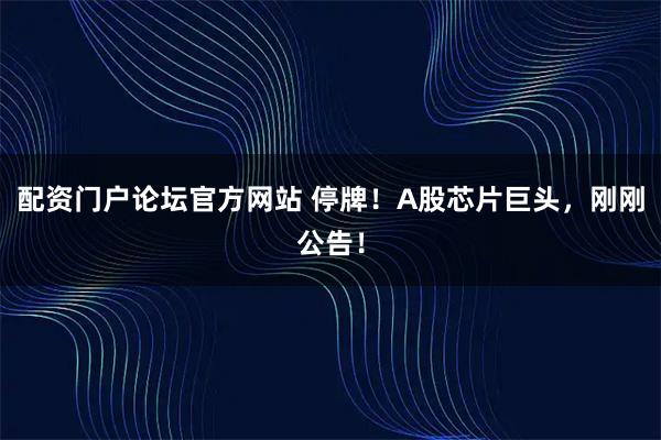 配资门户论坛官方网站 停牌！A股芯片巨头，刚刚公告！